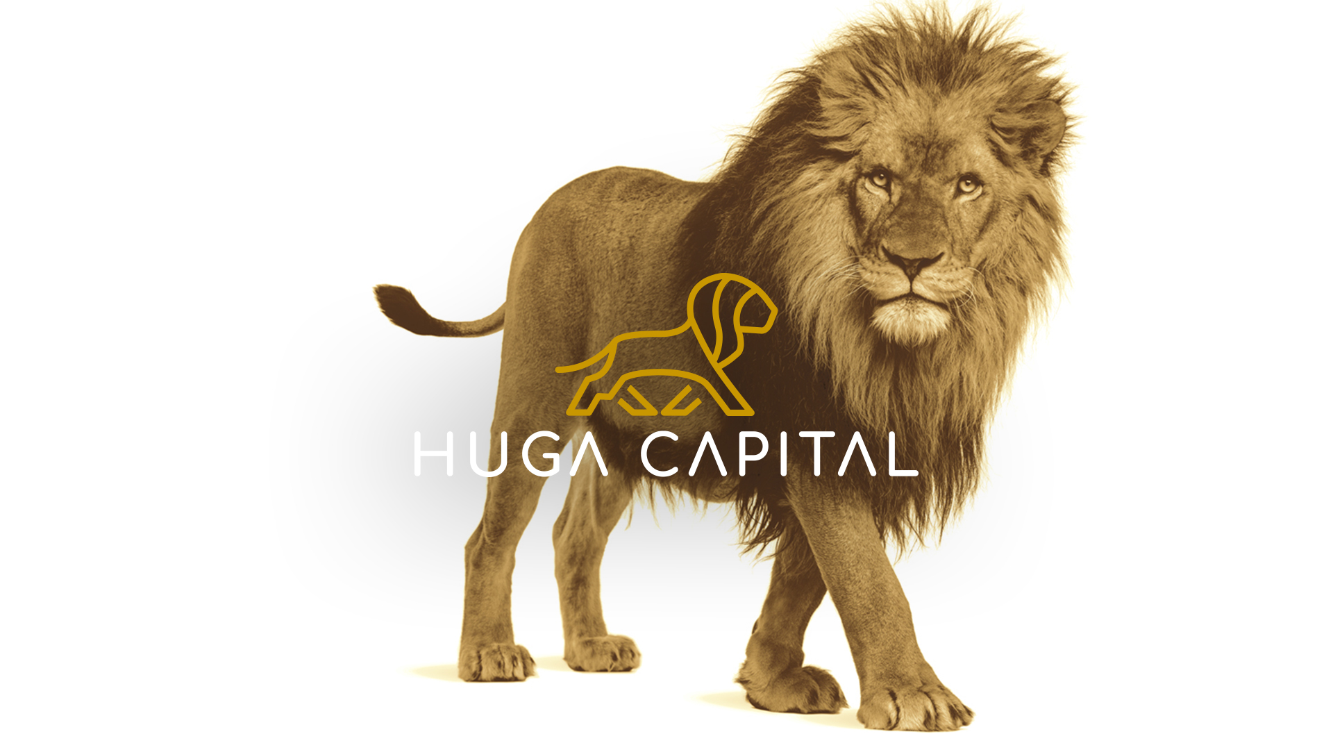huga-capital-marketing-monterrey-kiwiids-1