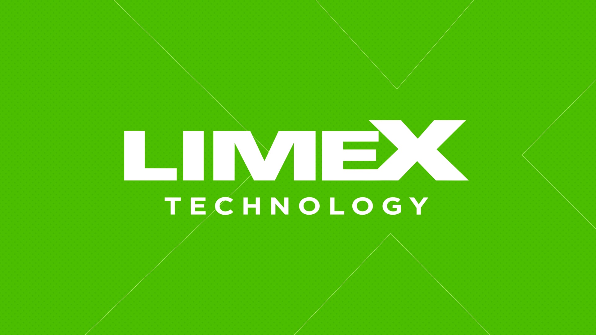 limex-diseno-web-monterrey-markeging-digital-01